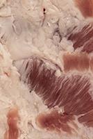 Photo Textures of Pork Meat